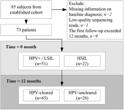 Vaginal microbiota and HPV clearance: A longitudinal study